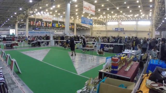 Best Male смотреть онлайн