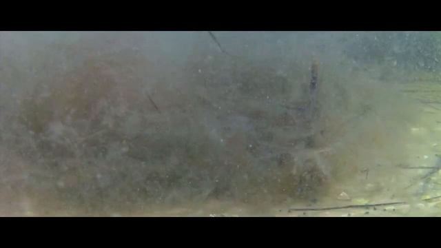 Джарылгач. Остров "обожжённых деревьев". смотреть онлайн