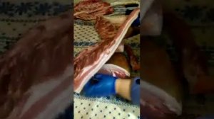 Какое сало и прослой у дюрка? Поросенку 6,5 месяцев.