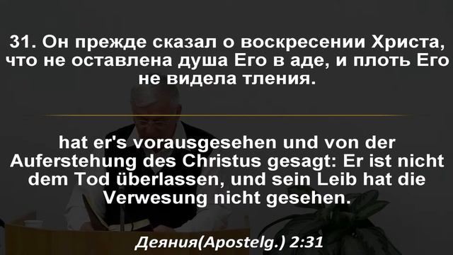 "Господь" это не имя Иисуса Христа, смотреть онлайн