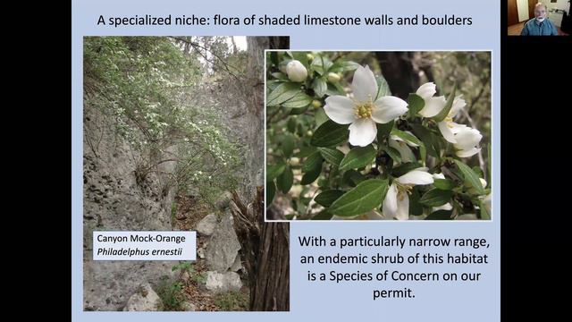 Forest Flora of the Balcones Canyonlands Preserve смотреть онлайн