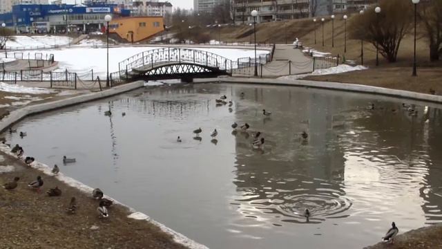 Видное,весна, прогулка Карины смотреть онлайн