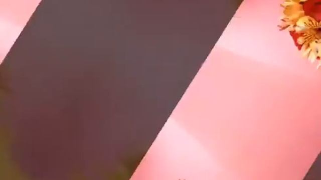 С днем знаний 1 сентября.mp4