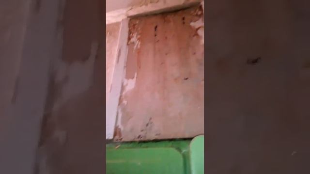 Зимний потоп в Смоленске смотреть онлайн