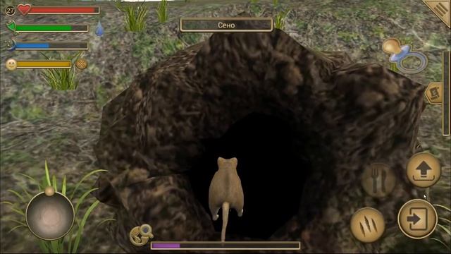 СИМУЛЯТОР Маленькой МЫШИ #11 ПОСТРОИЛИ в норке ДЕРЕВО охотился ПАУКА в Mouse Simulator смотреть онлайн