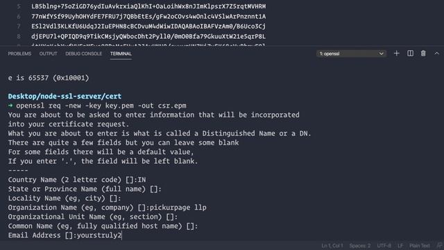 How to generate and use a SSL certificate in NodeJS смотреть онлайн