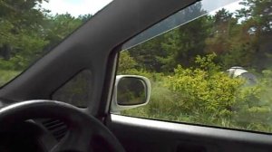 Озеро Кривое, Алтайский край, июль 2017