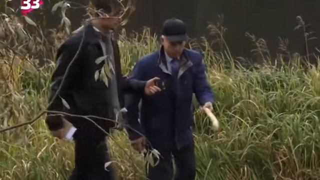 Бобры атакуют смотреть онлайн