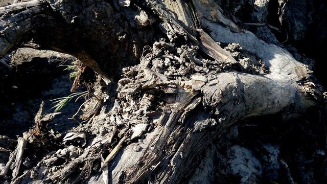 Bright Images from Eternity Part 3 / Ambient Music, Experimental Music смотреть онлайн