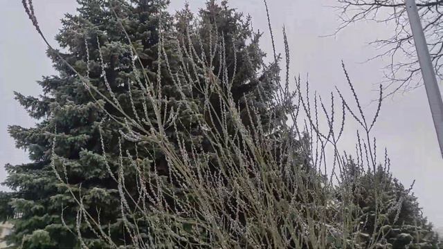 Керчь сегодня - опять зима... смотреть онлайн