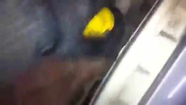 Z6010 ДВС (Двигатель) Opel Sintra 2.2i X22XE смотреть онлайн