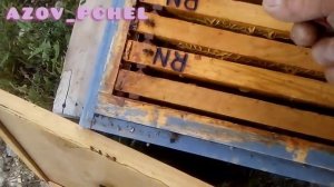 #Пчеловодствов6тирамочныхульях# Не бойтесь делать отводки ранней весной