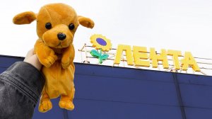 BACK TO SCHOOL - ЛЕНТА / Какая КАНЦЕЛЯРИЯ продается в Ленте? СБОРЫ В ШКОЛУ