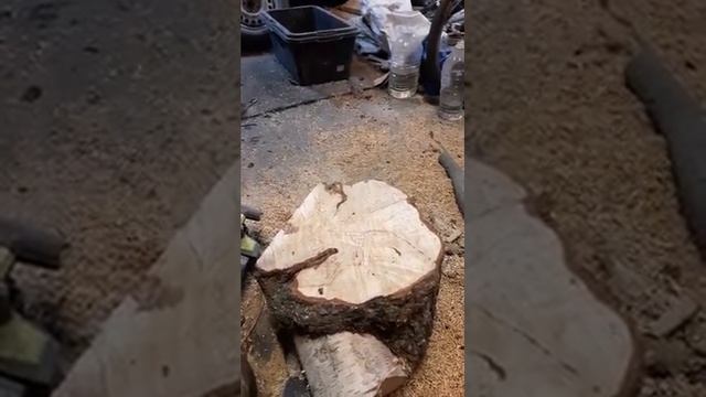 Распиливаем берёзовый кап .