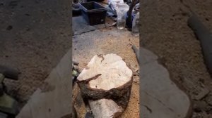 Распиливаем берёзовый кап .