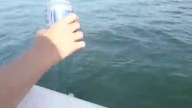 I'm On A Boat смотреть онлайн