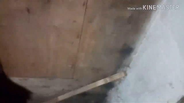 Пробую жвачку сочный арбуз в сарае смотреть онлайн