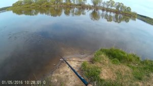 Чехонь на бомбарду.