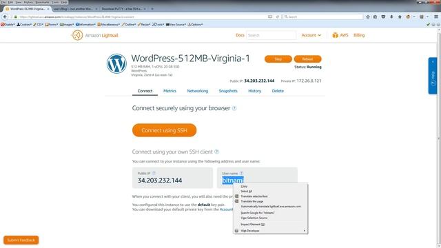 02 - Login to server use putty - How to install WordPress on Amazon Lightsail in AWS смотреть онлайн