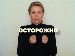 ЖЕСТОВЫЙ ЯЗЫК. СЛОВАРЬ. Осторожно