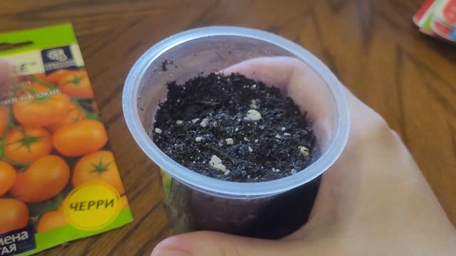 Первое видео в Новом году / показываю свои всходы / удачи и неудачи / докупила семена на сезон 2023 смотреть онлайн