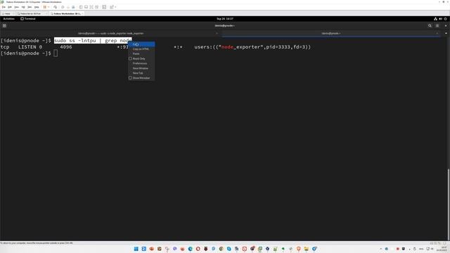 Установка Prometheus Node Exporter на Fedora Workstation 39 смотреть онлайн