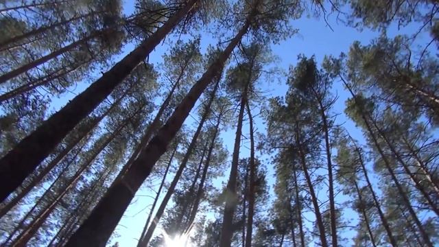 Загородная база отдыха в Разнежье. Йога-туры на выходные. смотреть онлайн