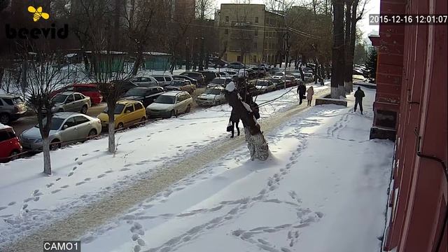 IP камера KURATO 2.0MP. Пример записи улица день смотреть онлайн