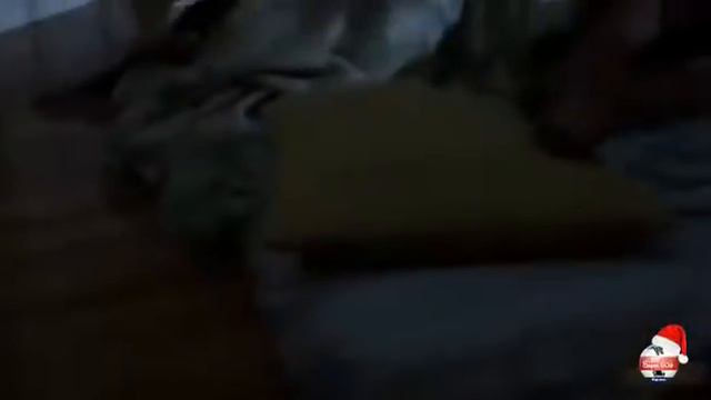 Navidades Casi Perfectas Familia Película Romántica Español Navidad