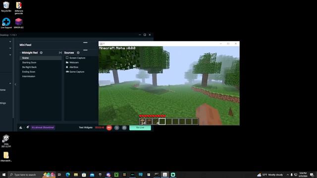 Minecraft 0.0.0 entity caught смотреть онлайн