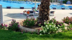 Desert Rose Hotel 5   Хургада Египет