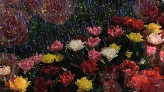 "Мир не прост". Елена Бажанова. смотреть онлайн