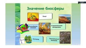 География - 6 класс - Биосфера