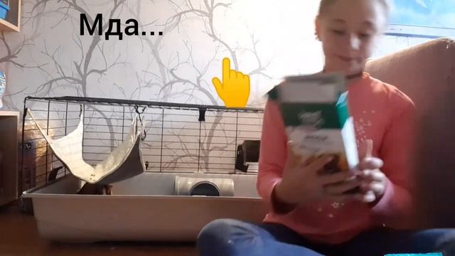 Что едят морские свинки ???? смотреть онлайн