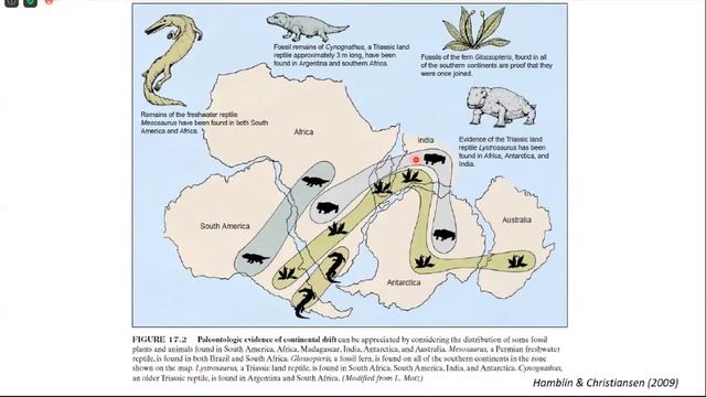 GRAND UNIFIED THEORY OF TECTONIC OF INDONESIA - AWANG SATYANA смотреть онлайн