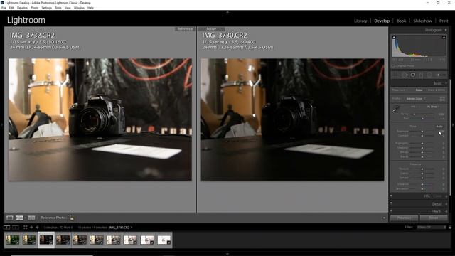 CANON 7D Mark II ISO Test: зелёная-зелёная трава! смотреть онлайн