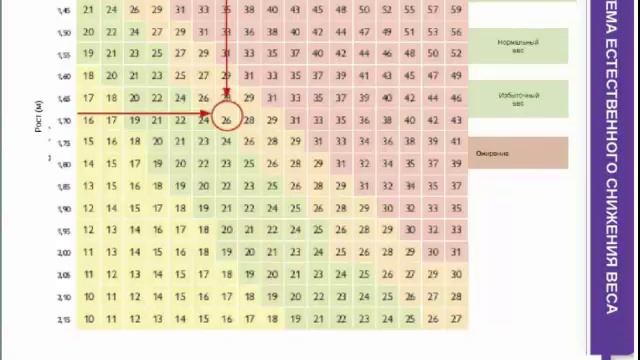 Школа правильного питания Урок 1 смотреть онлайн