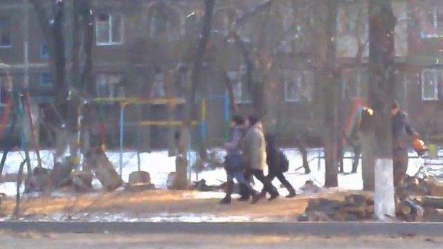 Алматы варварская вырубка деревьев на улице Жубанова. смотреть онлайн