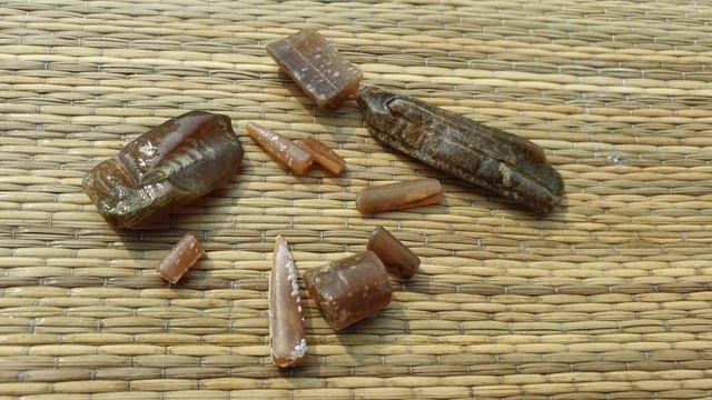 поход по берегу Волги близь Кимры, Тверской обл. Палео-минералогические и археологические находки смотреть онлайн