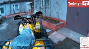 Квадроцикл Avantis Hunter 250  premium