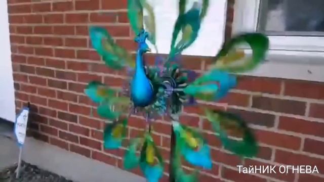 Красивая история павлина. смотреть онлайн