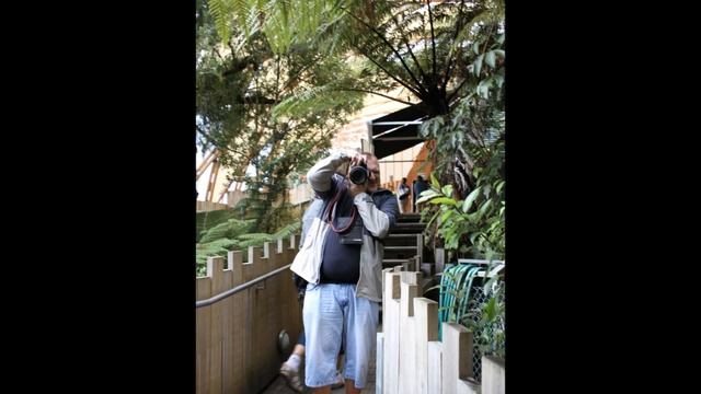 23 1 Пещеры Waitomo смотреть онлайн