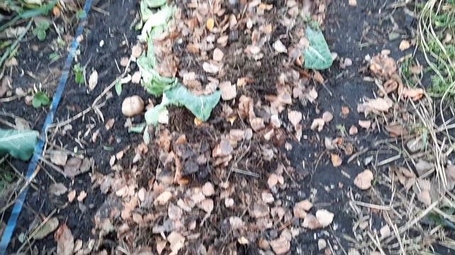 Мульча для компоста смотреть онлайн