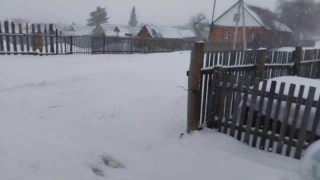 Летом готовим сани-зимой телегу смотреть онлайн