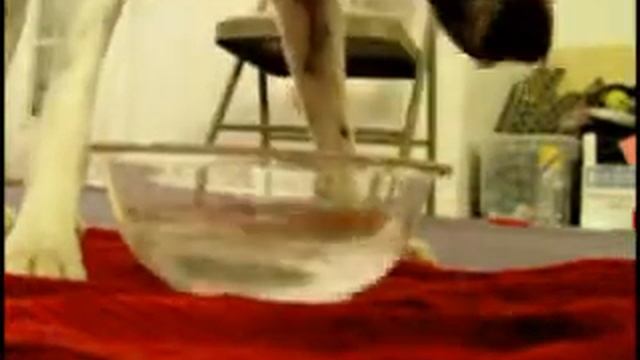 Ryddick Blowing Bubbles-Session #1 смотреть онлайн