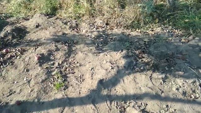 Строю дом,без опыта, с минимальным бюджетом. #12 сопалубкой закончил начало заливки фундамента смотреть онлайн