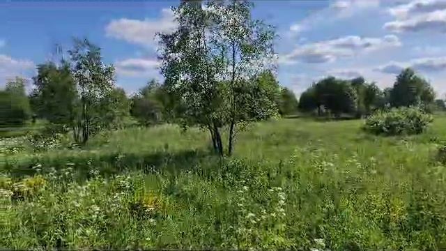 Редино_195759 смотреть онлайн