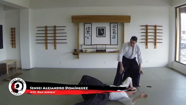 Katate dori ai hanmi Shihonage Omote смотреть онлайн
