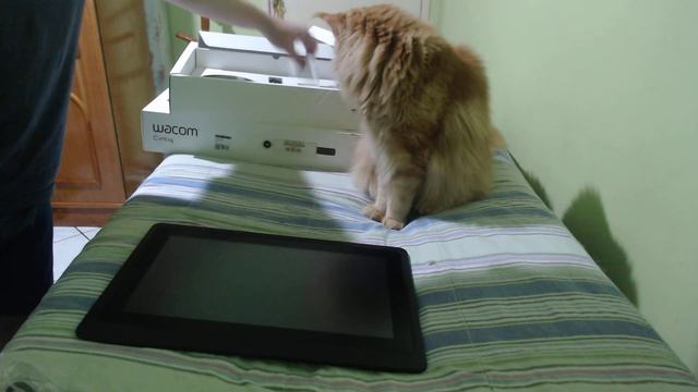 Unboxing Wacom Cintiq 16 смотреть онлайн