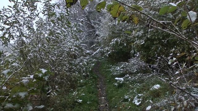 Первый снег Борисовка 04 10 2013 (видеозарисовка) смотреть онлайн